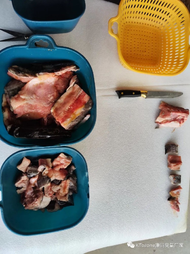 臭氧可以用于魚(yú)肉去腥去血水嗎？